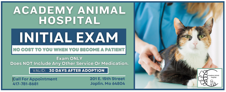 Academy animal hospital initial exam.