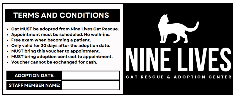 A black and white poster for the nine lives cat adoption center.