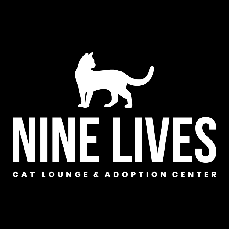Nine lives cat lounge & adoption center.